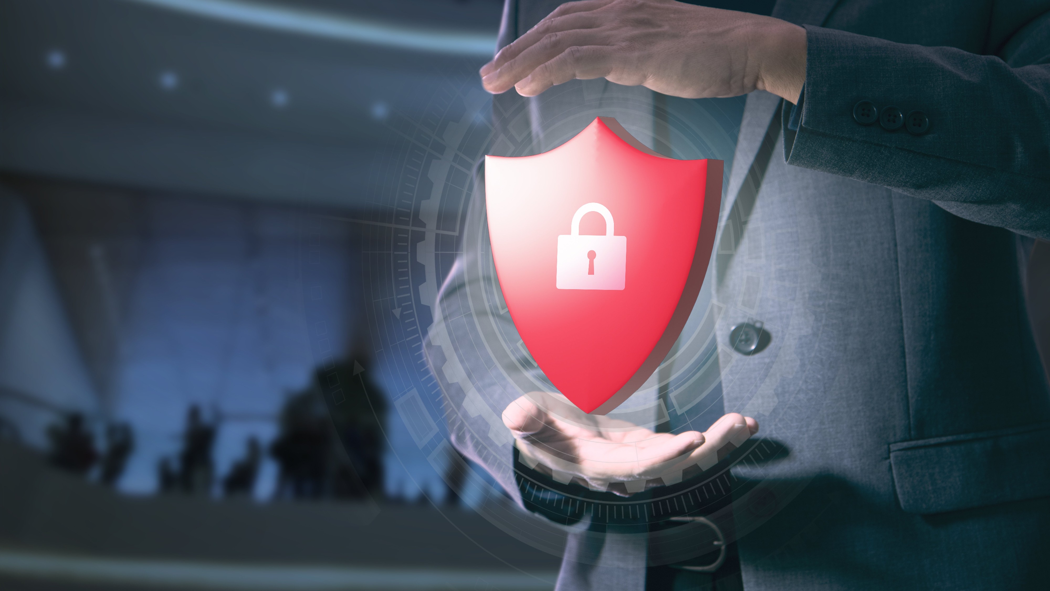 Essential Safeguards against Fraud Risk